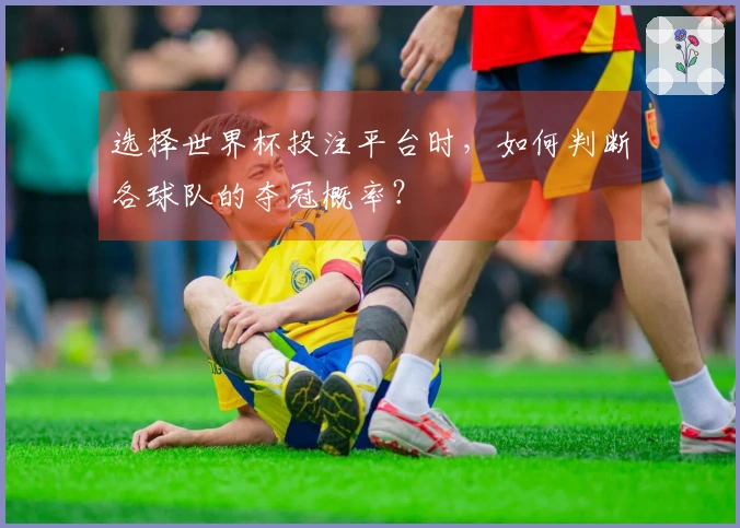 选择世界杯投注平台时，如何判断各球队的夺冠概率？