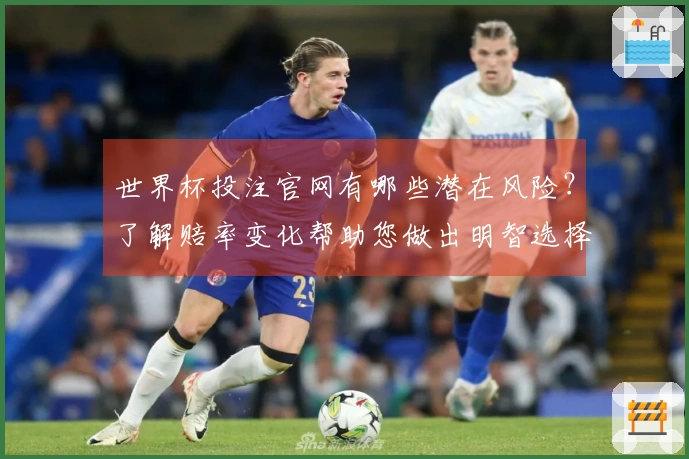 世界杯投注官网有哪些潜在风险？了解赔率变化帮助您做出明智选择