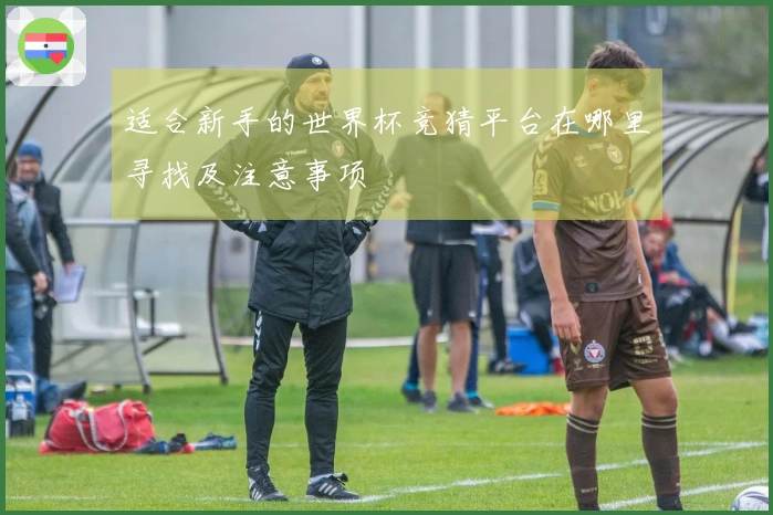 适合新手的世界杯竞猜平台在哪里寻找及注意事项