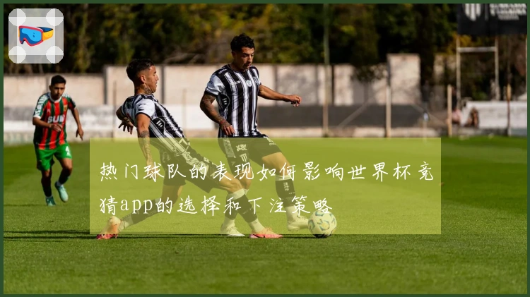 热门球队的表现如何影响世界杯竞猜app的选择和下注策略