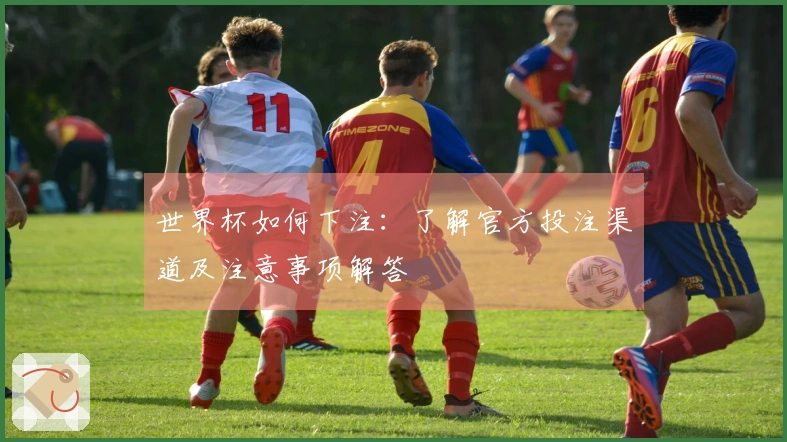 世界杯如何下注：了解官方投注渠道及注意事项解答