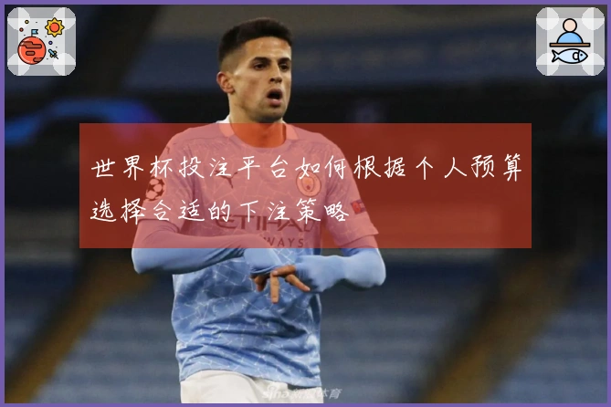 世界杯投注平台如何根据个人预算选择合适的下注策略