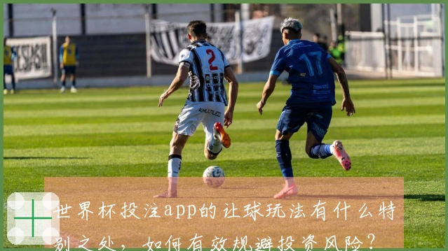 世界杯投注app的让球玩法有什么特别之处，如何有效规避投资风险？
