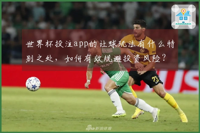 世界杯投注app的让球玩法有什么特别之处，如何有效规避投资风险？