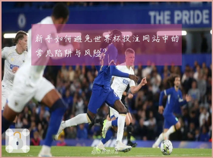 新手如何避免世界杯投注网站中的常见陷阱与风险？
