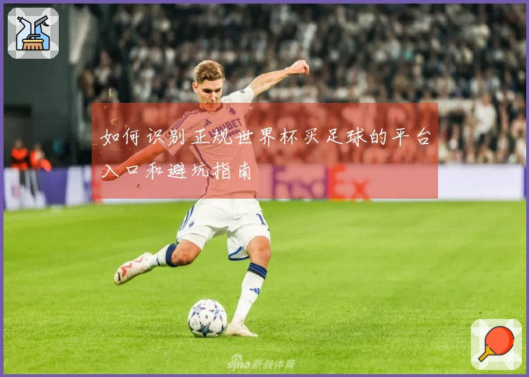 如何识别正规世界杯买足球的平台入口和避坑指南