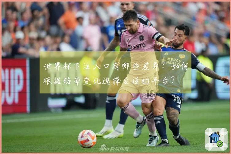 世界杯下注入口有哪些差异？如何根据赔率变化选择合适的平台？