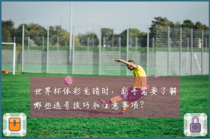 世界杯体彩竞猜时，新手需要了解哪些选号技巧和注意事项？