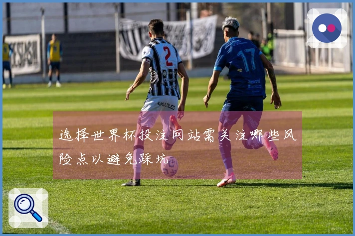 选择世界杯投注网站需关注哪些风险点以避免踩坑