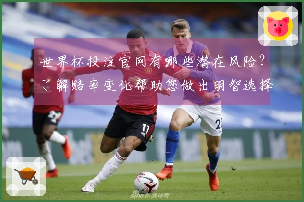 世界杯投注官网有哪些潜在风险？了解赔率变化帮助您做出明智选择
