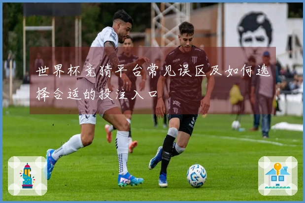世界杯竞猜平台常见误区及如何选择合适的投注入口