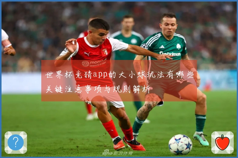世界杯竞猜app的大小球玩法有哪些关键注意事项与规则解析