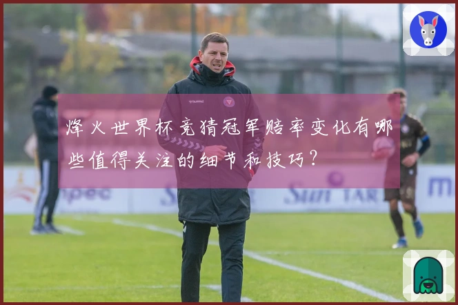 烽火世界杯竞猜冠军赔率变化有哪些值得关注的细节和技巧？