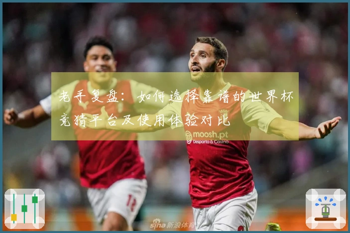 老手复盘：如何选择靠谱的世界杯竞猜平台及使用体验对比