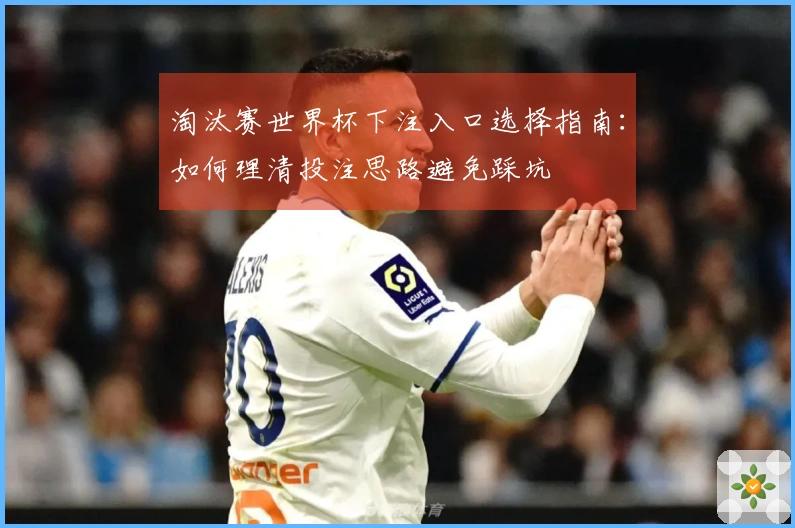 淘汰赛世界杯下注入口选择指南：如何理清投注思路避免踩坑