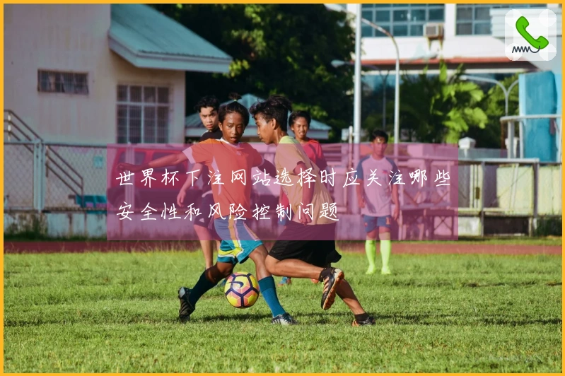 世界杯下注网站选择时应关注哪些安全性和风险控制问题