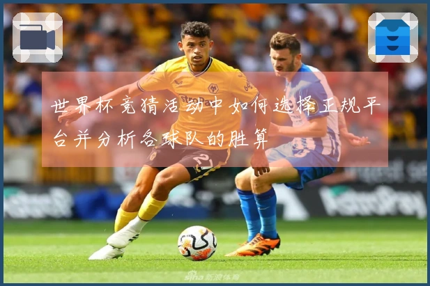 世界杯竞猜活动中如何选择正规平台并分析各球队的胜算