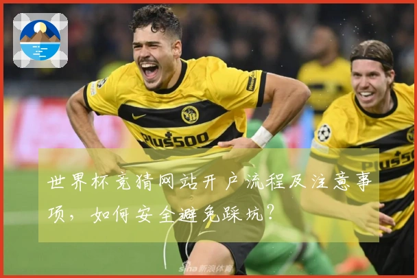 世界杯竞猜网站开户流程及注意事项，如何安全避免踩坑？