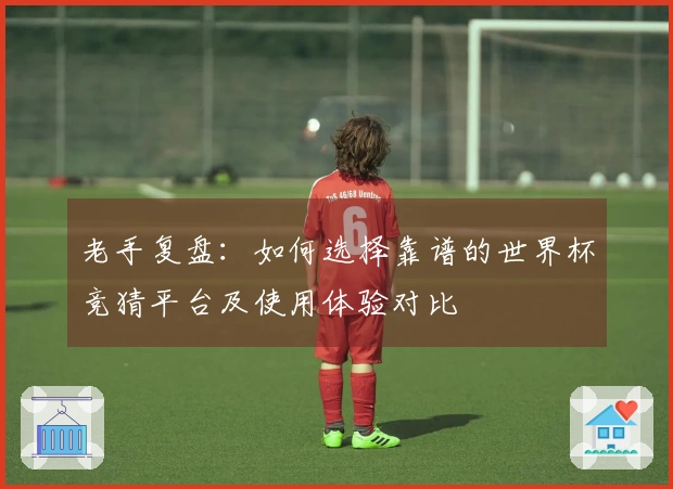 老手复盘：如何选择靠谱的世界杯竞猜平台及使用体验对比