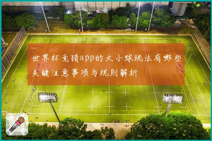 世界杯竞猜app的大小球玩法有哪些关键注意事项与规则解析