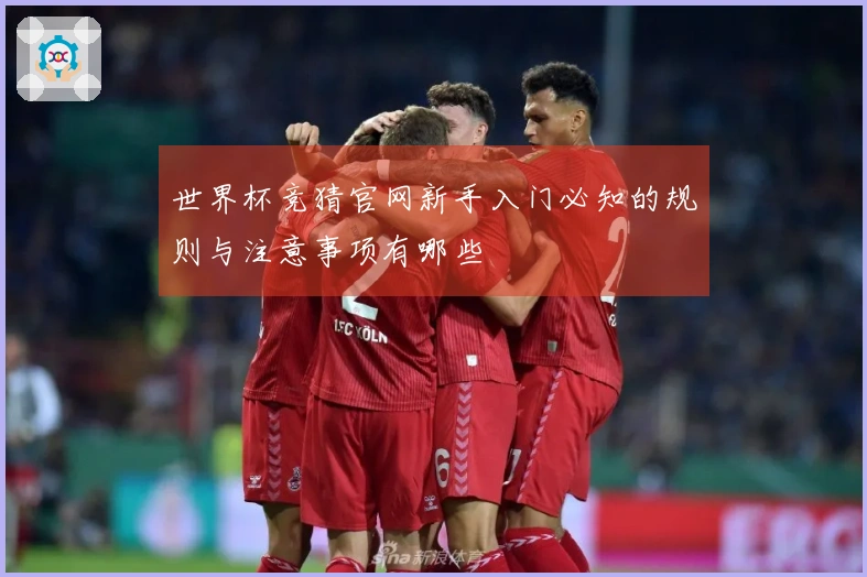 世界杯竞猜官网新手入门必知的规则与注意事项有哪些