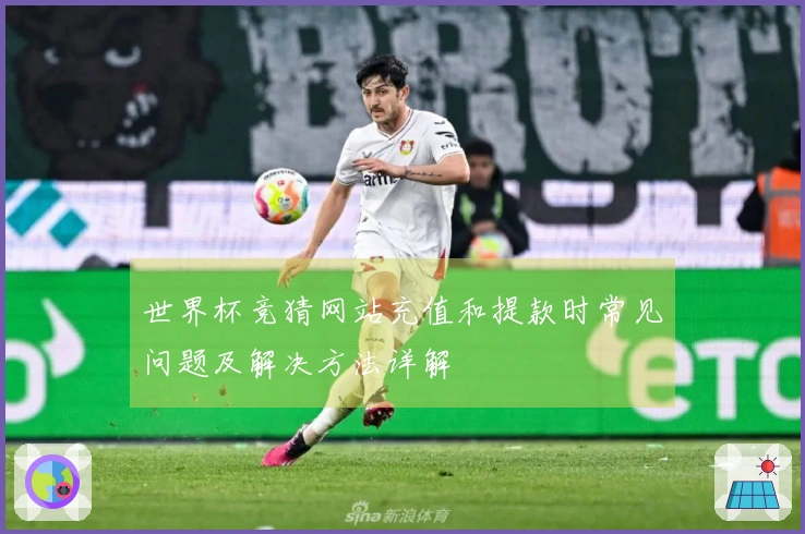 世界杯竞猜网站充值和提款时常见问题及解决方法详解