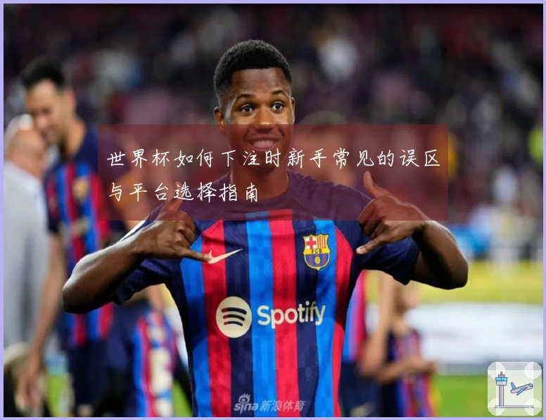 世界杯如何下注时新手常见的误区与平台选择指南