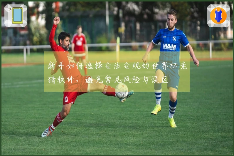 新手如何选择合法合规的世界杯竞猜软件，避免常见风险与误区