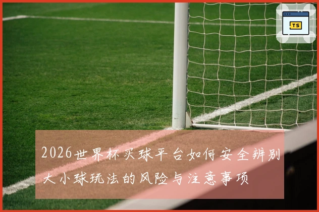 2026世界杯买球平台如何安全辨别大小球玩法的风险与注意事项