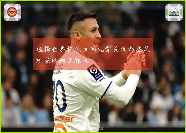 选择世界杯投注网站需关注哪些风险点以避免踩坑