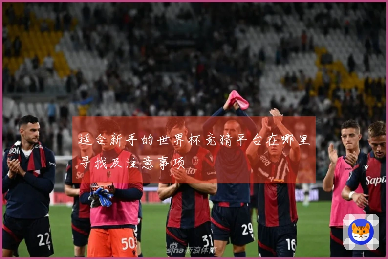 适合新手的世界杯竞猜平台在哪里寻找及注意事项